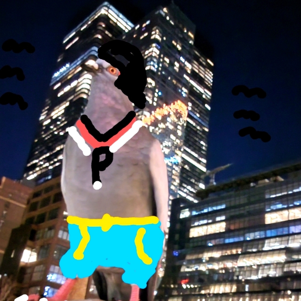 Meet your Posher, Walter